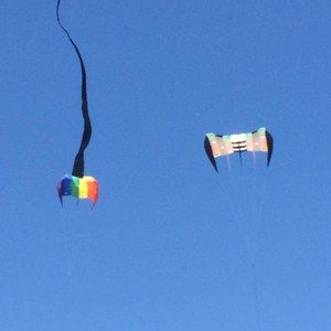 Meet your Posher, Patti